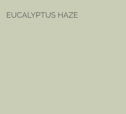 eucalyptus-haze