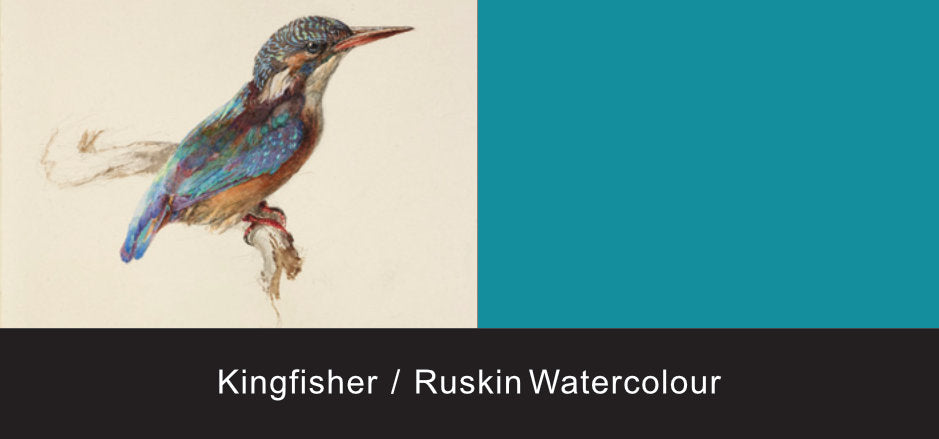 kingfisher ruskin watercolour 939