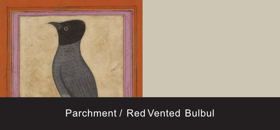 parchment red vented bulbul 939