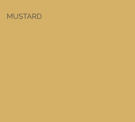 Michelle Ogundehin x Graphenstone: Mustard