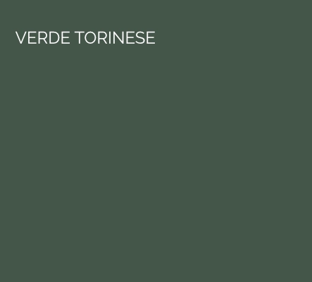 Verde Torinese - a deep forest green chosen to reflect the forest across the valley from the house
