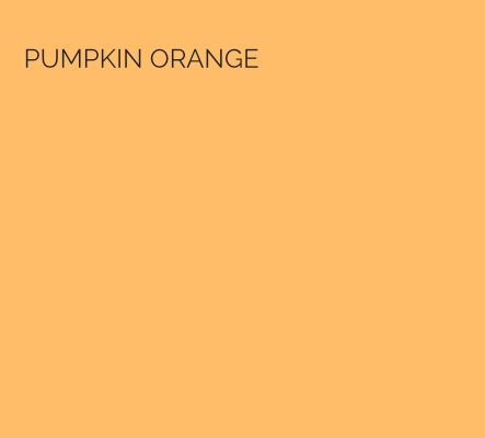 pumpkin orange 443 v2